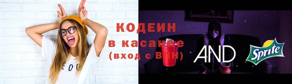 крисы Грязи