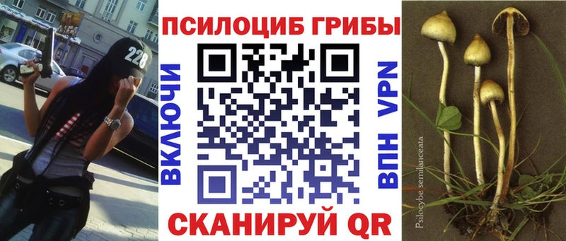 дарнет шоп  Берёзовский  Галлюциногенные грибы мухоморы 